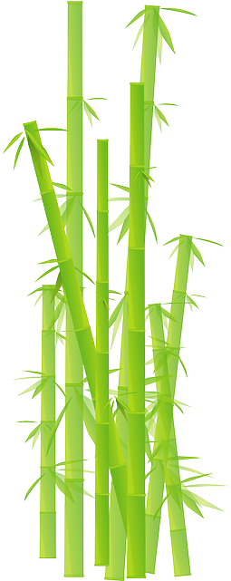 Grass, Jungle, Leave, Plant, Stick - ไม้ไผ่ การ์ตูน Png (320x640)