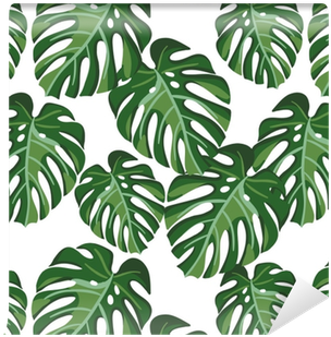 Monstera Palm Leaves On The White Background - Monstera Background (400x400)