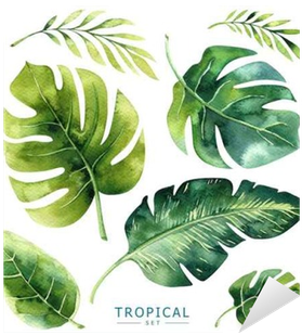 Hand Drawn Watercolor Tropical Plants Set - Exotic Palm Leaves (400x400)