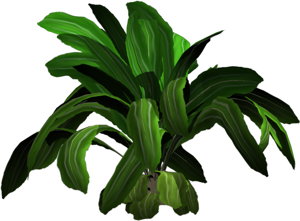 Added By Yorik On - Tropical Plants Png (1024x768)