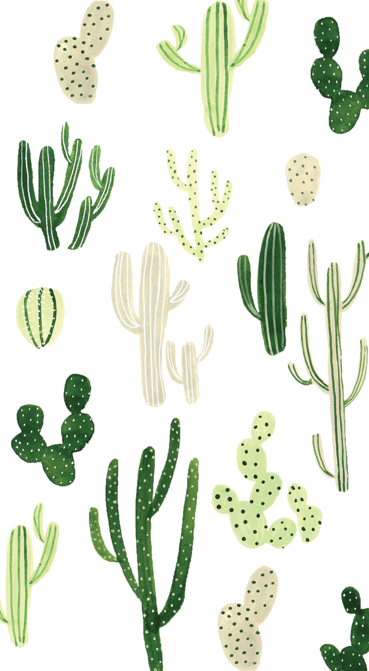 Cacticasetify - Cactus Wallpaper Iphone 7 Plus (750x1364)