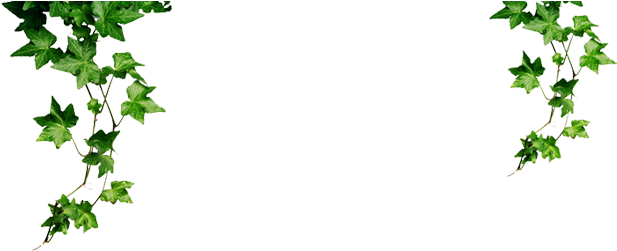 Jungle Plants Png - Ivy (636x250)