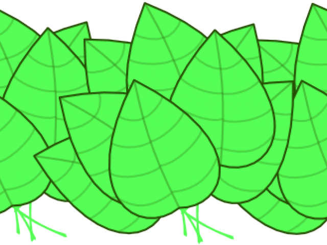 Jungle Plants Cliparts - Clip Art (640x480)