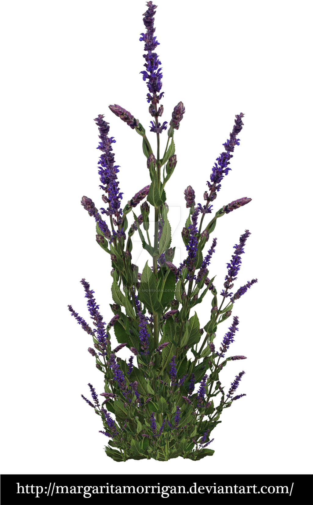 Get Free High Quality Hd Wallpapers Tropical Jungle - Plants (1024x1704)