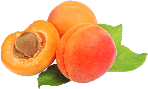 6ax - Apricot Png (500x324)