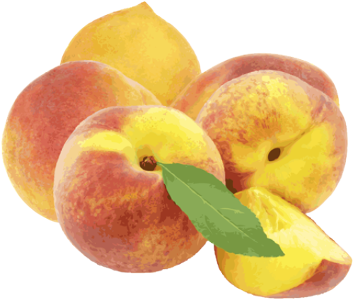 Peach Clip Art Free Clipart - Clip Art (640x480)