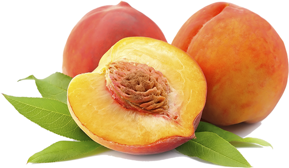 We Are A Georgia Based Family Owned Company That Has - Peach - Dices Freeze Dried 3 Oz (617x372)