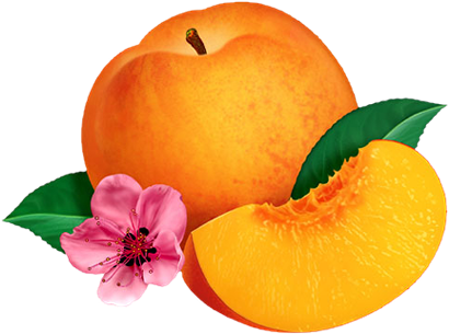 Overlay And Peach Image - Png Frutas (475x380)
