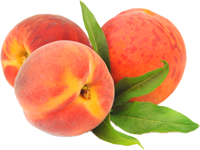 T-bones Fresh Food Market - Peach Hand Cream Lotion With Shea Butter | Extra Large (1000x827)