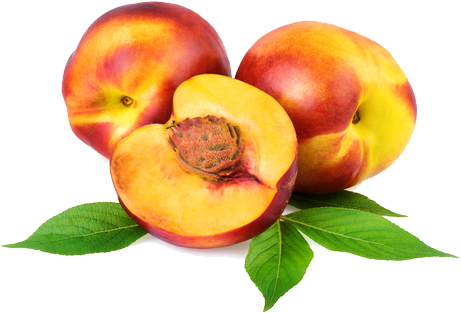 Nectarina Extra (500x334)