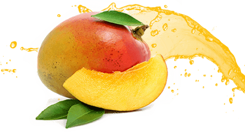 Frozen Mango Pulp - Mango Julie (504x272)