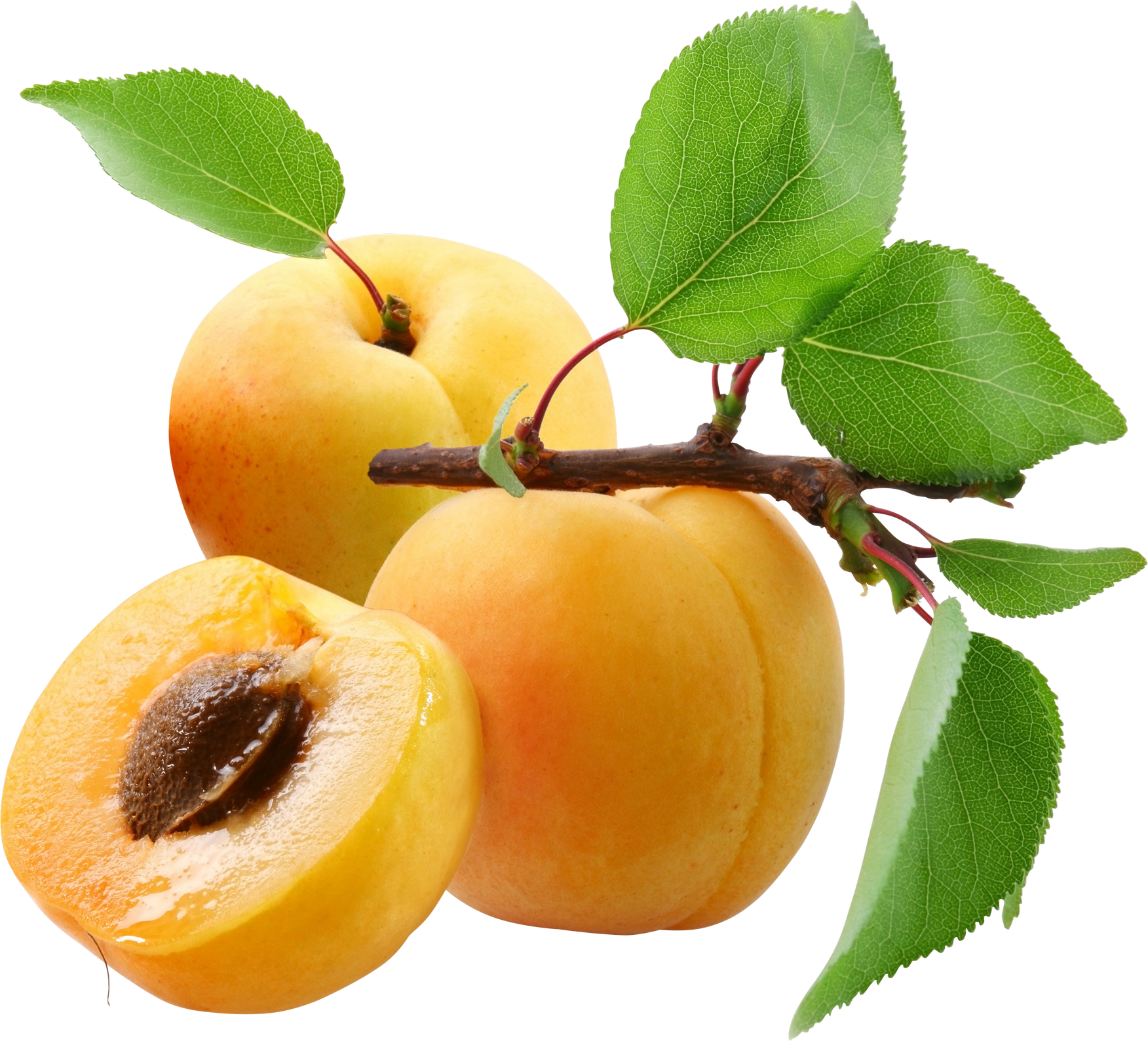 Peach - Hugo Boss The Scent For Her 100 Ml Perfume Gift Set (1752x1589)