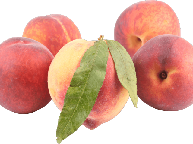 Peach Png Transparent Images - Peach (640x480)