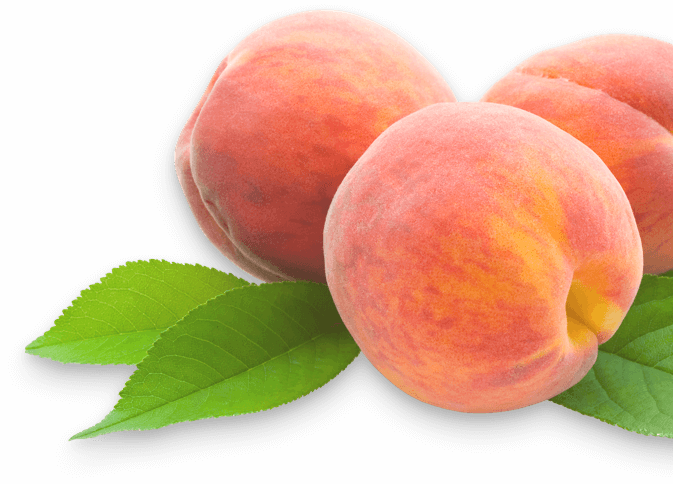 Crm For Agro Business Company, Syndicode - Three Peaches (673x484)
