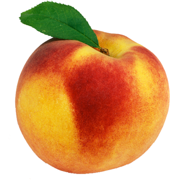 Home Ask Past Tags - Solo Pictures Of Fruits And Vegetables (402x375)