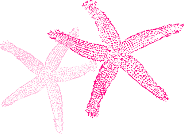 Multiple Pink Starfish Clip Art At Clker Com Vector - Fish Clip Art (600x437)