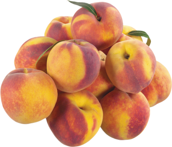 Tube Fruit - Clip Art (585x500)