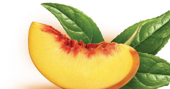 The Product I Chose Was Peach Snapple - Snapple (573x301)
