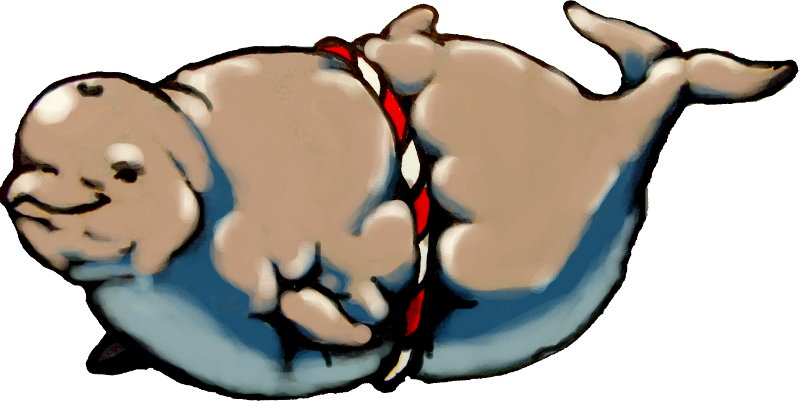 Remember The Great Panjandrum Today I Reconnected With - Corpulent Porpoises (800x401)