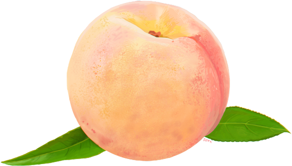 Peach Png Transparent Images - Github Inc. (640x480)