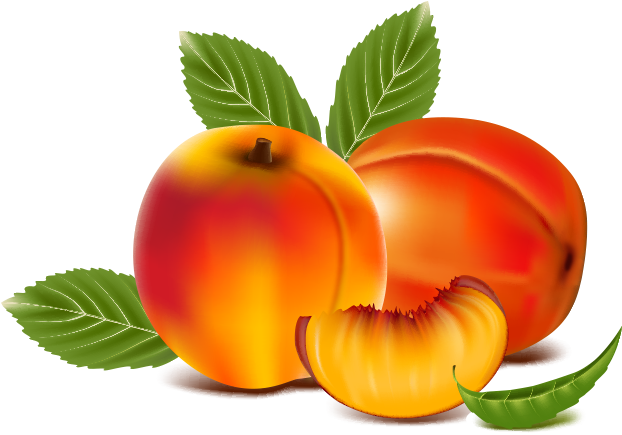 Juice Peach Drawing - Duniya Ki Sari Fruit (750x800)