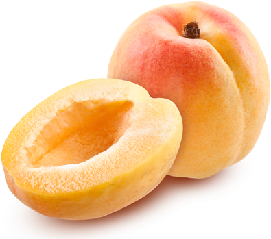 Apricot Png - Apricot Png (510x510)