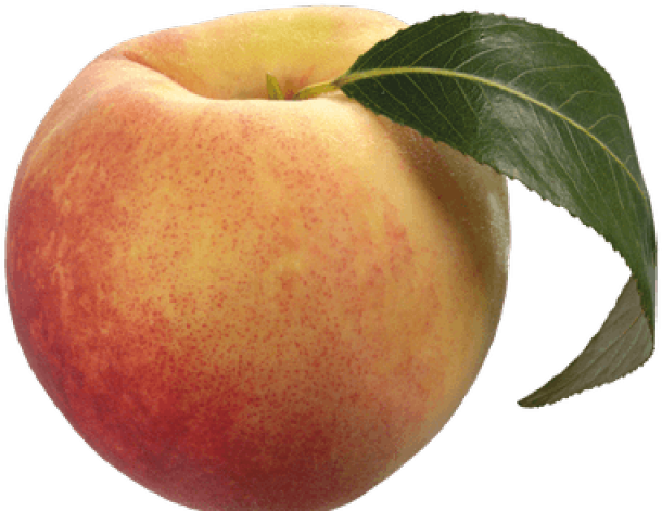 Peach Png Transparent Images - Peach (640x480)