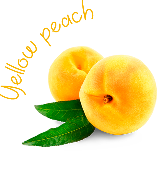 The Montereal Peach Varieties That We Grow Feature - Amarillo (537x582)
