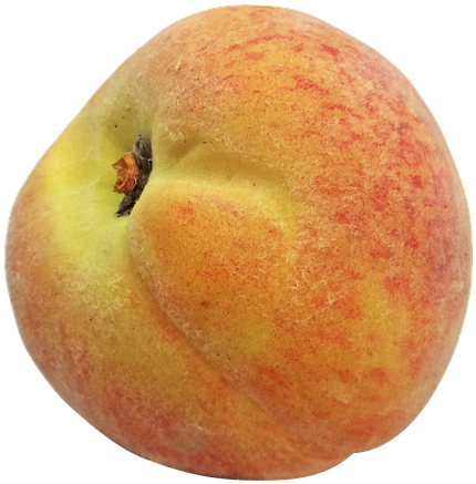 Nectarines (450x455)