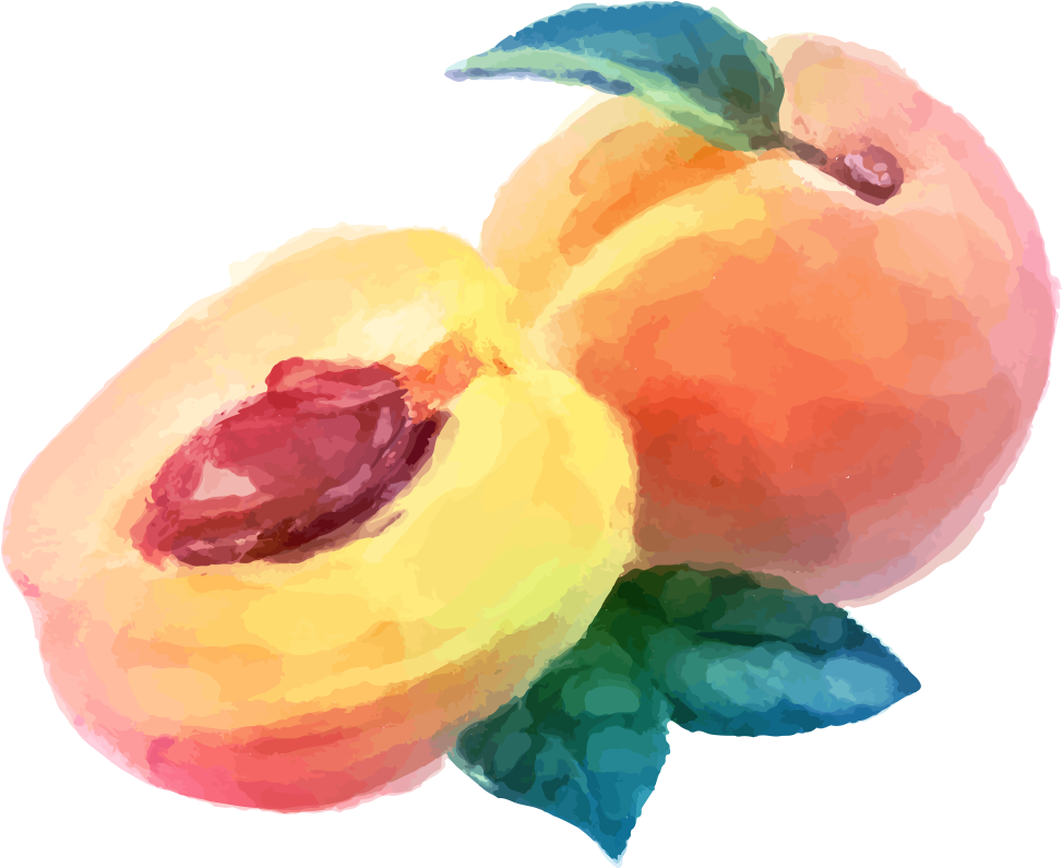 Watercolor Painting Peach Fruit Drawing - Peach Watercolor (1000x1000)