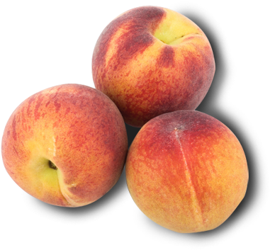 Peaches - Nectarines (401x364)