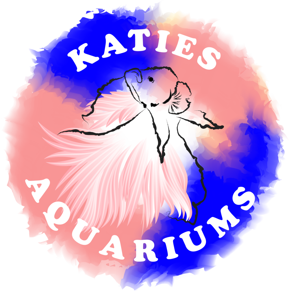 Katies Aquariums - Aquarium (1000x1005)