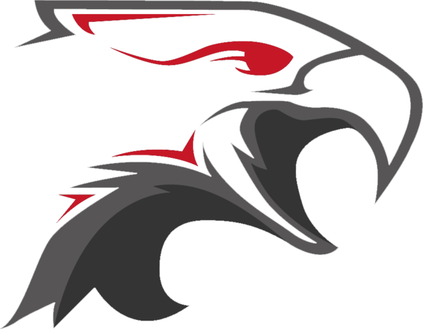 Dark Sided Esports (600x466)