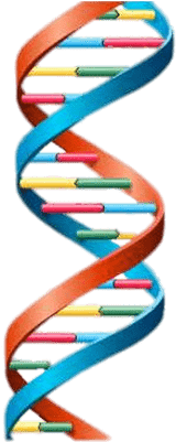Dna In Double Helix (400x400)