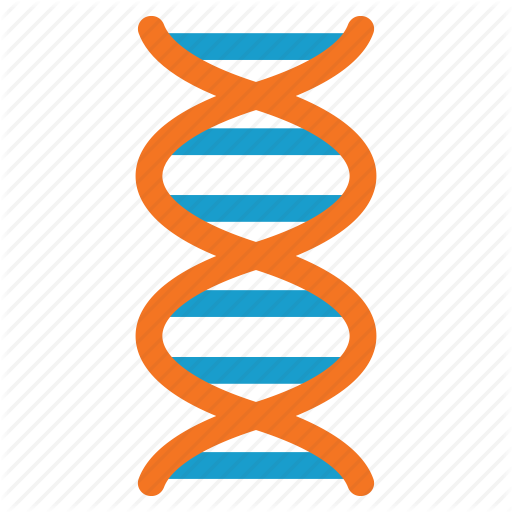 Dna Structure Clipart Dna Strand - Graphic Design (512x512)