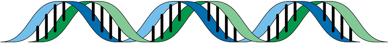What If Google Knew Your Dna - Genes Transparent (960x480)