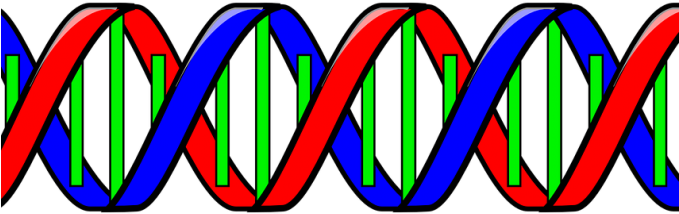 I - Double Helix Clip Art (678x381)