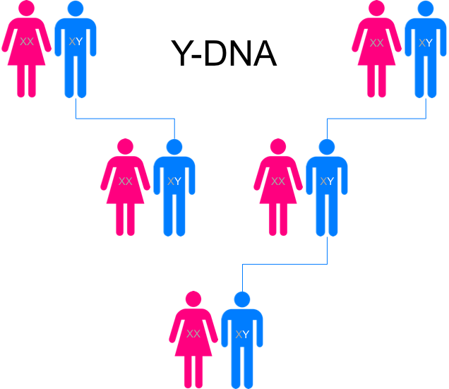 Paternal Line - Divorcing Smartly: The End Of A Marriage Isn't The (636x551)