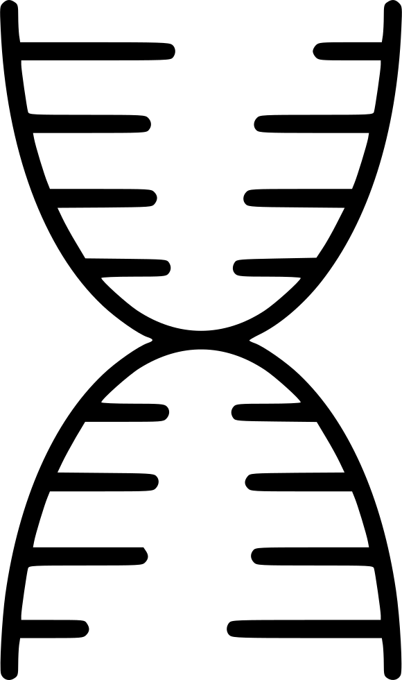 Dna Structure Clipart Svg - Dna (580x980)
