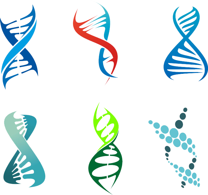 Dna Vector Genetics Royalty-free - Stylized Dna (698x655)