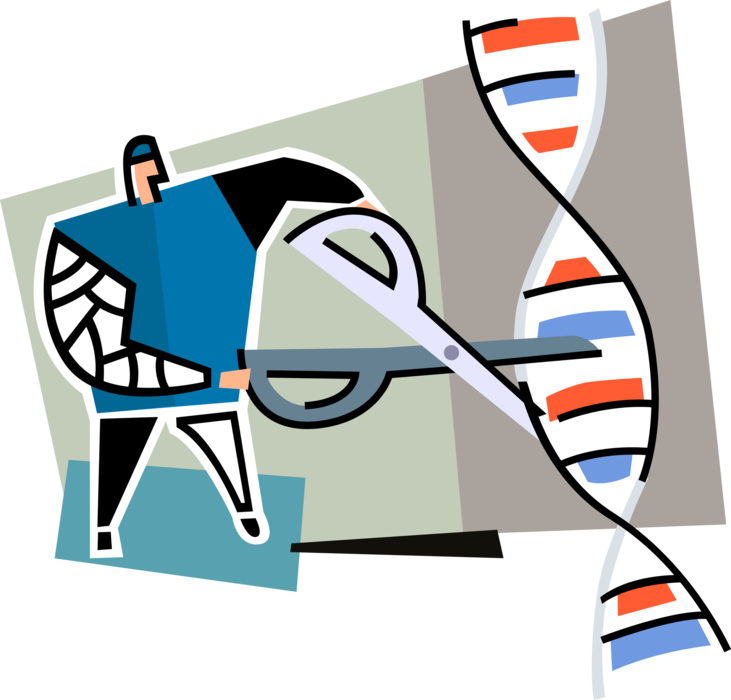 Vector Illustration Of Biological Geneticist Scientist - Vector Illustration Of Biological Geneticist Scientist (731x700)