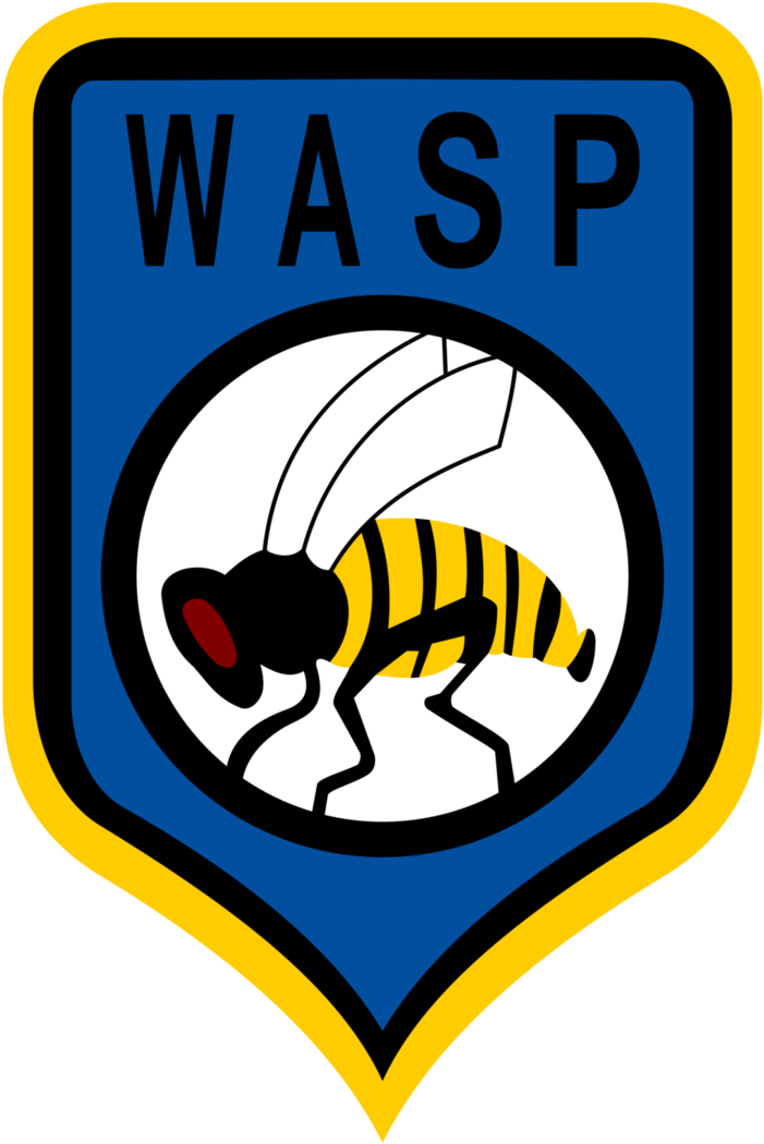 Wasp By Pointingmonkey - Stingray (752x1063)