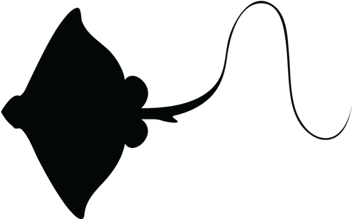 Stingray3 - Stingray Silhouette Png (494x355)