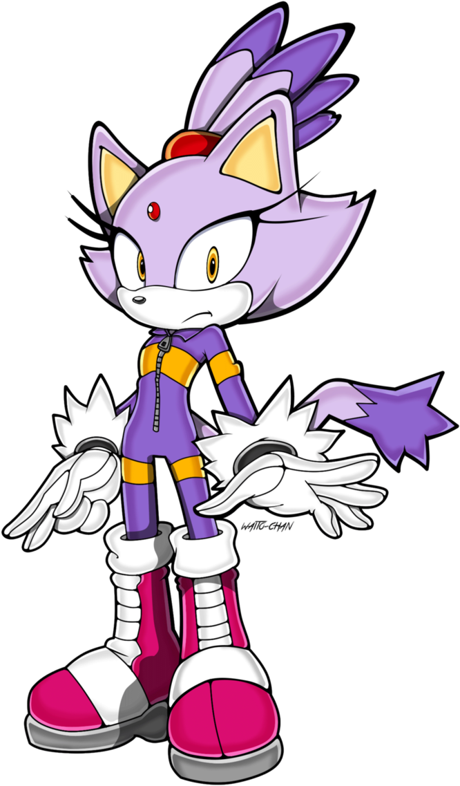 Sonic Rider Blaze Sa Style By Hari Chan - Blaze The Cat Sonic Riders (682x1170)