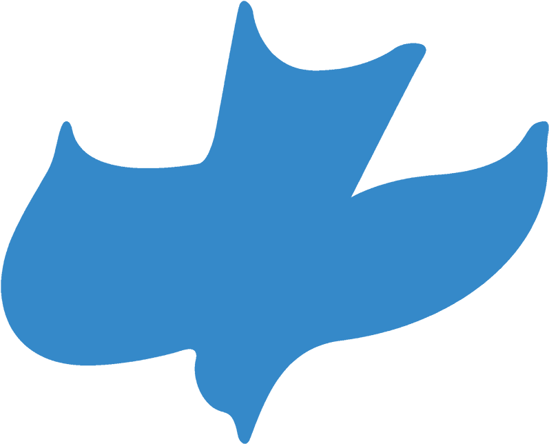 Calvary Chapel Church Ministry Dove - Church (800x800)