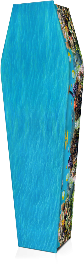 Expression Cofins - Box (800x1195)