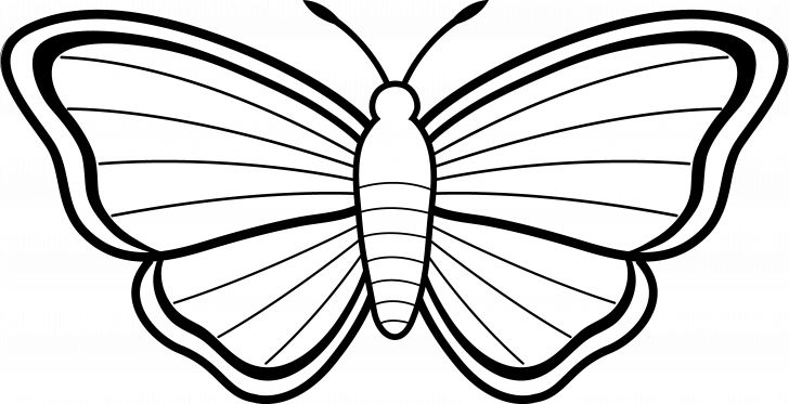Butterfly Outline Clipart Images Simple Printable Animal - Colouring Images Of Butterfly (728x373)