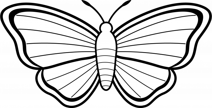 butterfly outline clipart images simple printable animal colouring images of butterfly 728x373 png clipart download