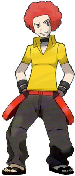 Pokémon No Anime - Flint Pokemon (259x621)