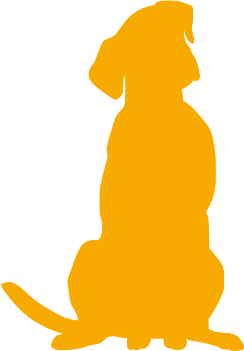 April 2013 Mohamed Talaat - Yellow Dog Silhouette (768x703)